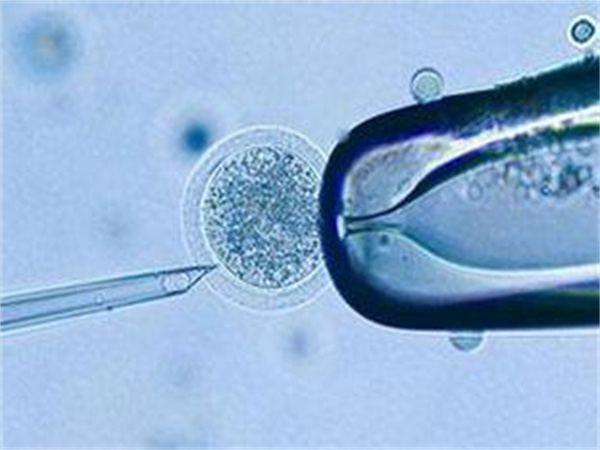 海外试管婴儿目的地大比拼：中国家庭首选国家揭晓